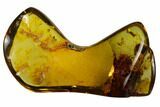Polished Chiapas Amber ( g) - Mexico #114972-1